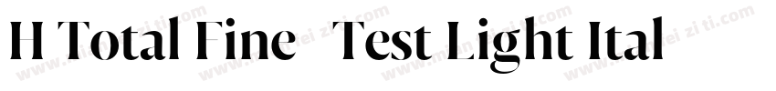 H Total Fine   Test Light Italic字体转换